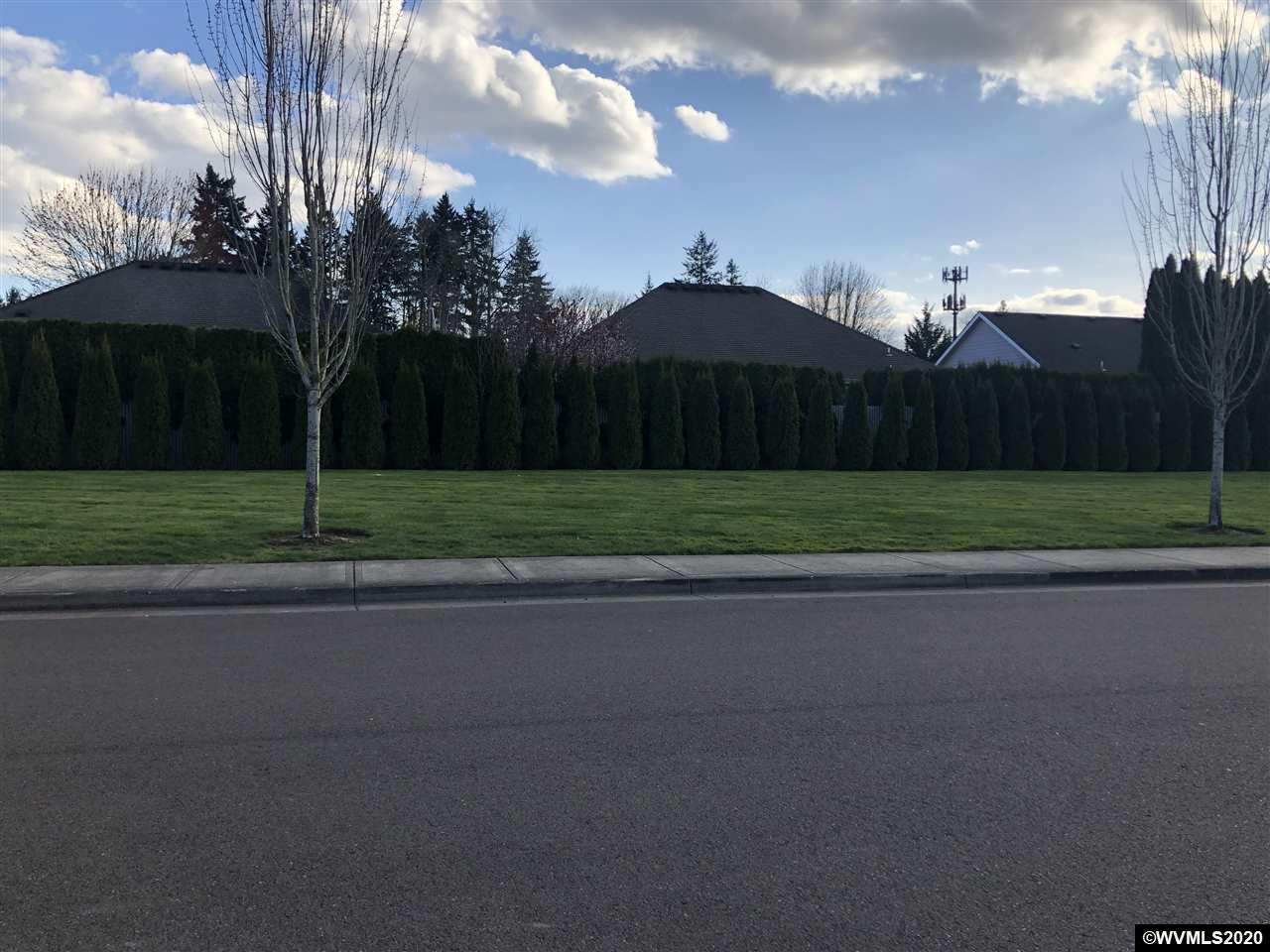 1137 Taurus Loop Northeast Keizer, OR 97303 - Photo 25 of 25