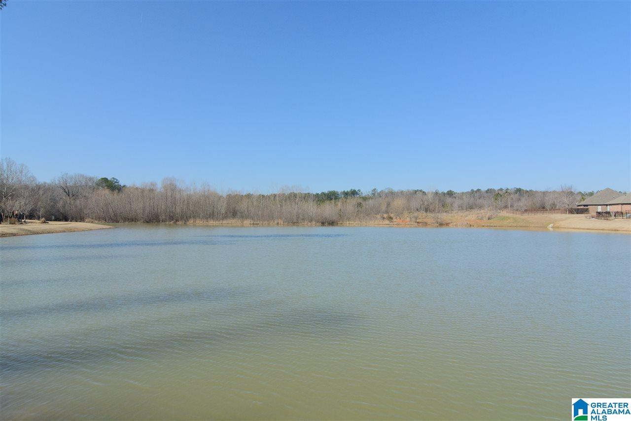 260 Lacey Avenue Alabaster, AL 35114 - Photo 46 of 46