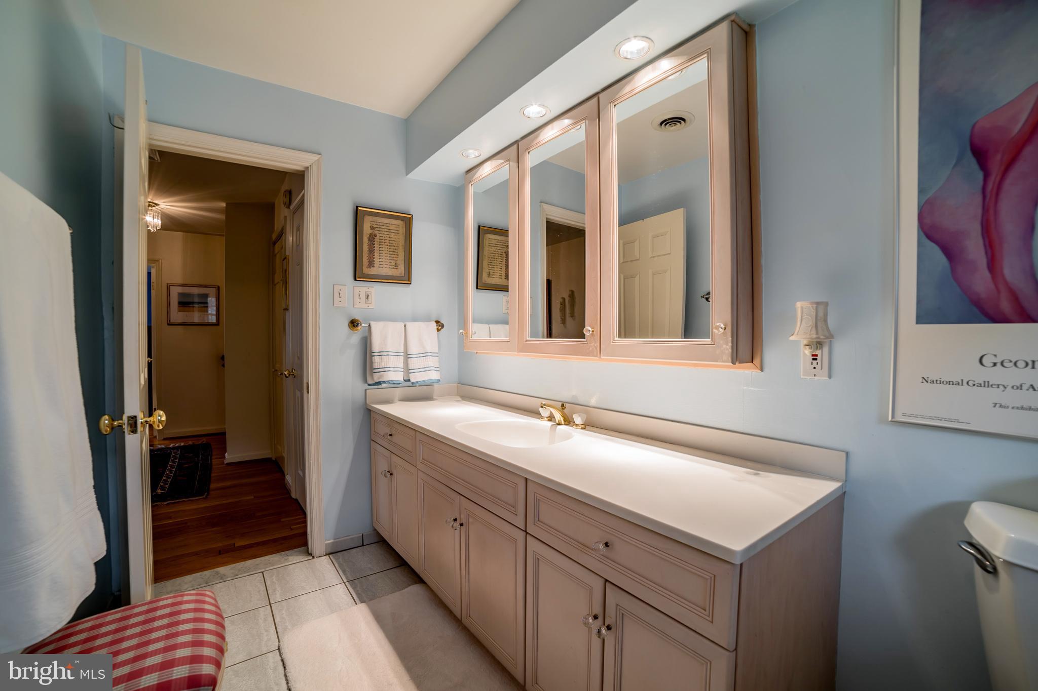 6123 Haddon Hall Road Baltimore, MD 21212 - Photo 20 of 27 lots of light
