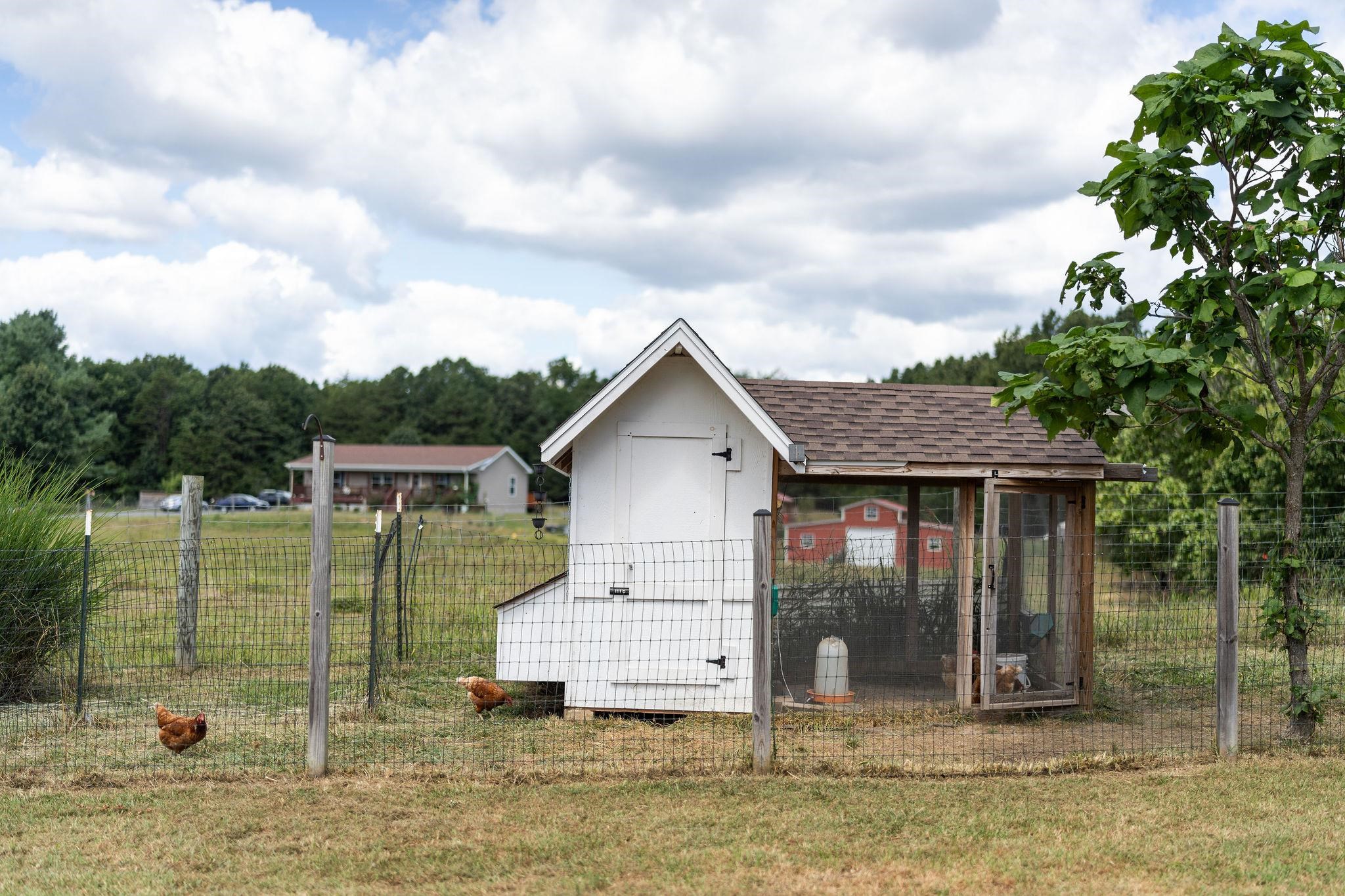 2035 Cold Springs Road Stuarts Draft, VA 24477 - Photo 31 of 43