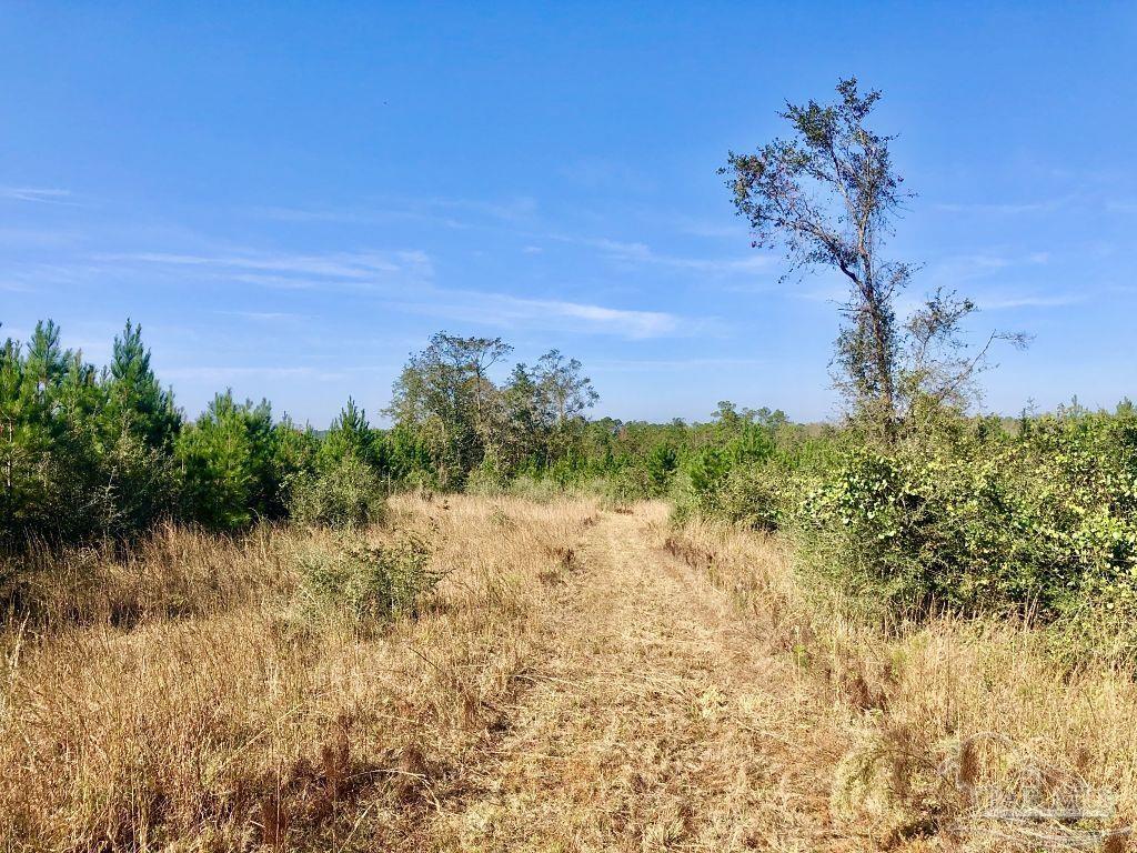 Lot 25-sw Bashi Road Pace, FL 32571 - Photo 12 of 26 Gallery Image 12