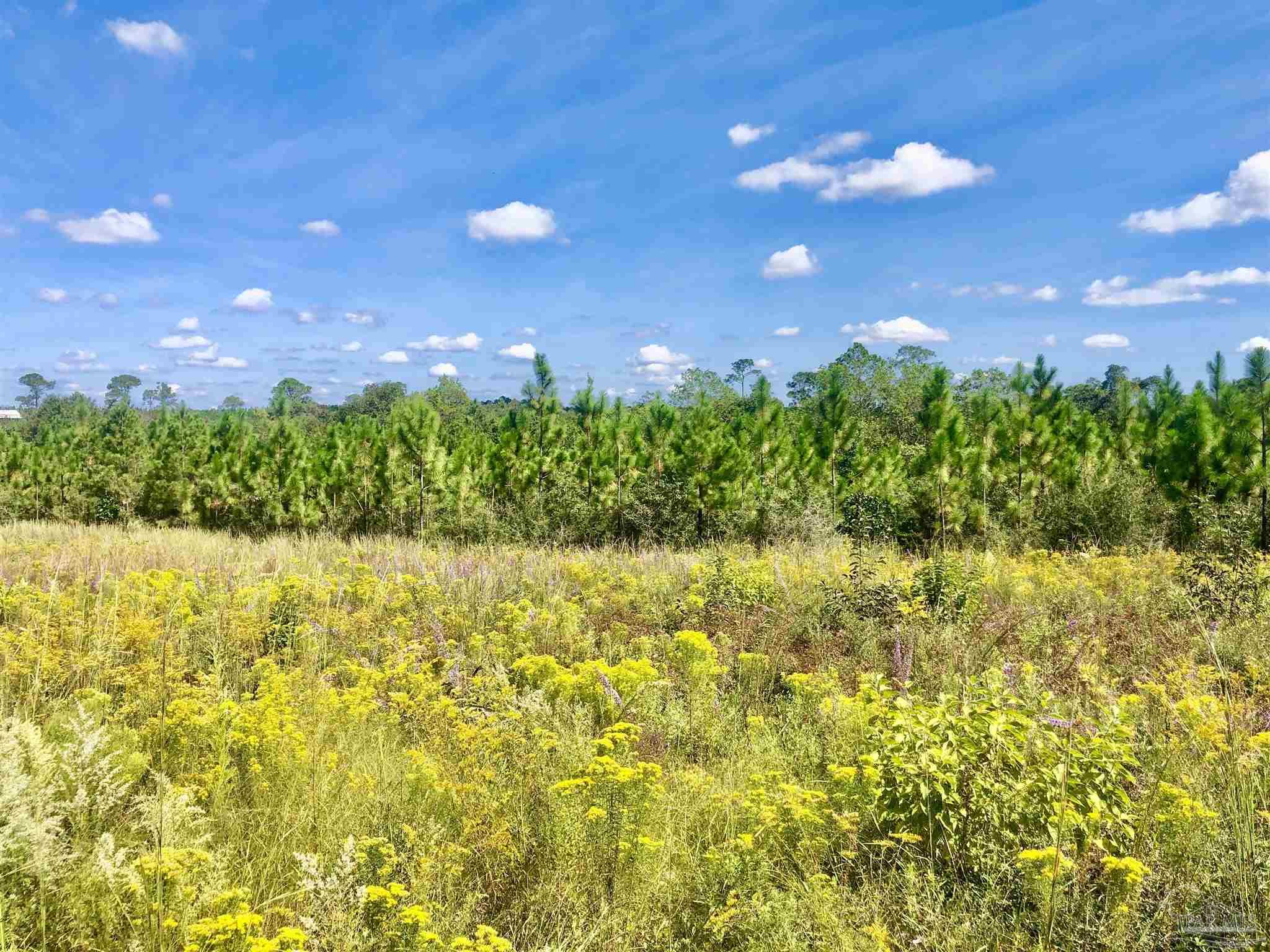 Lot 25-sw Bashi Road Pace, FL 32571 - Photo 19 of 26 Gallery Image 19