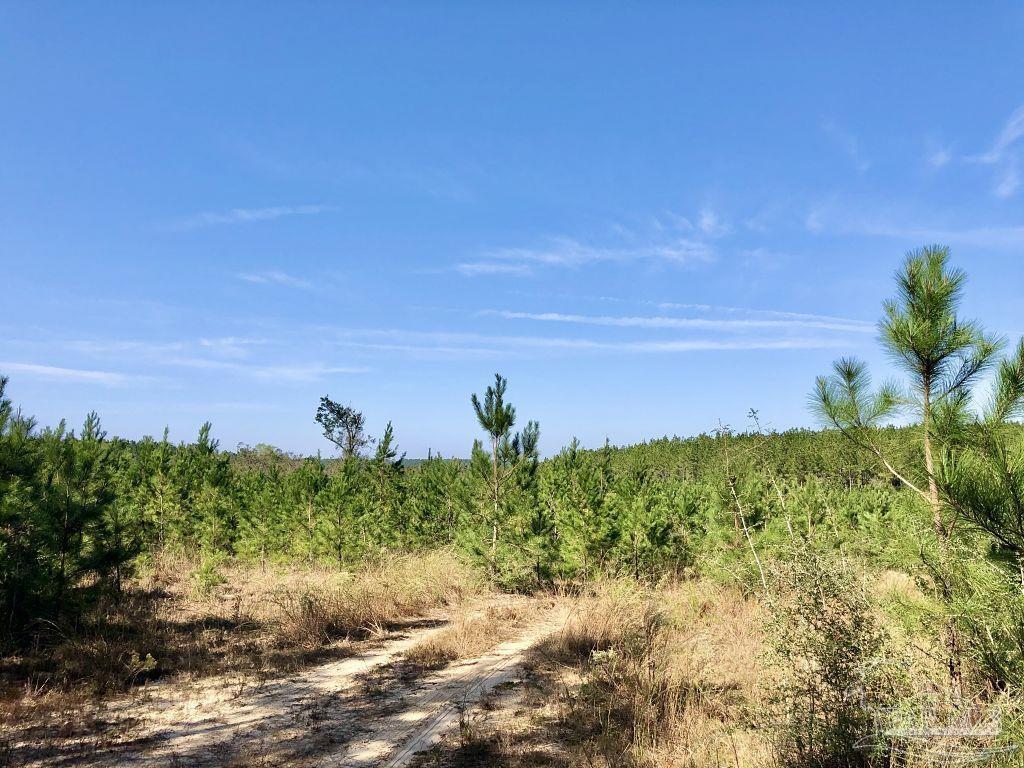 Lot 25-sw Bashi Road Pace, FL 32571 - Photo 21 of 26 Gallery Image 21
