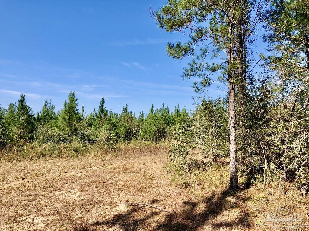 Lot 25-sw Bashi Road Pace, FL 32571 - Photo 22 of 26 Gallery Image 22