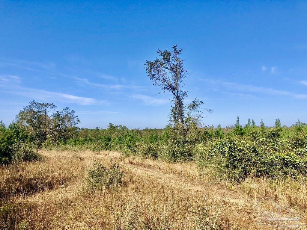 Lot 25-sw Bashi Road Pace, FL 32571 - Photo 23 of 26 Gallery Image 23
