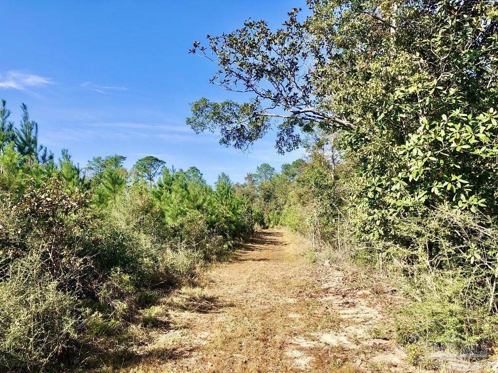 Lot 25-sw Bashi Road Pace, FL 32571 - Photo 24 of 26 Gallery Image 24