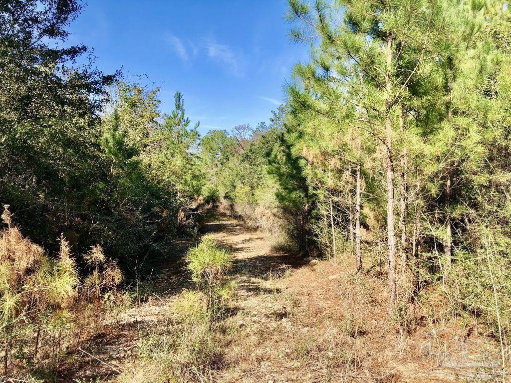Lot 25-sw Bashi Road Pace, FL 32571 - Photo 25 of 26 Gallery Image 25