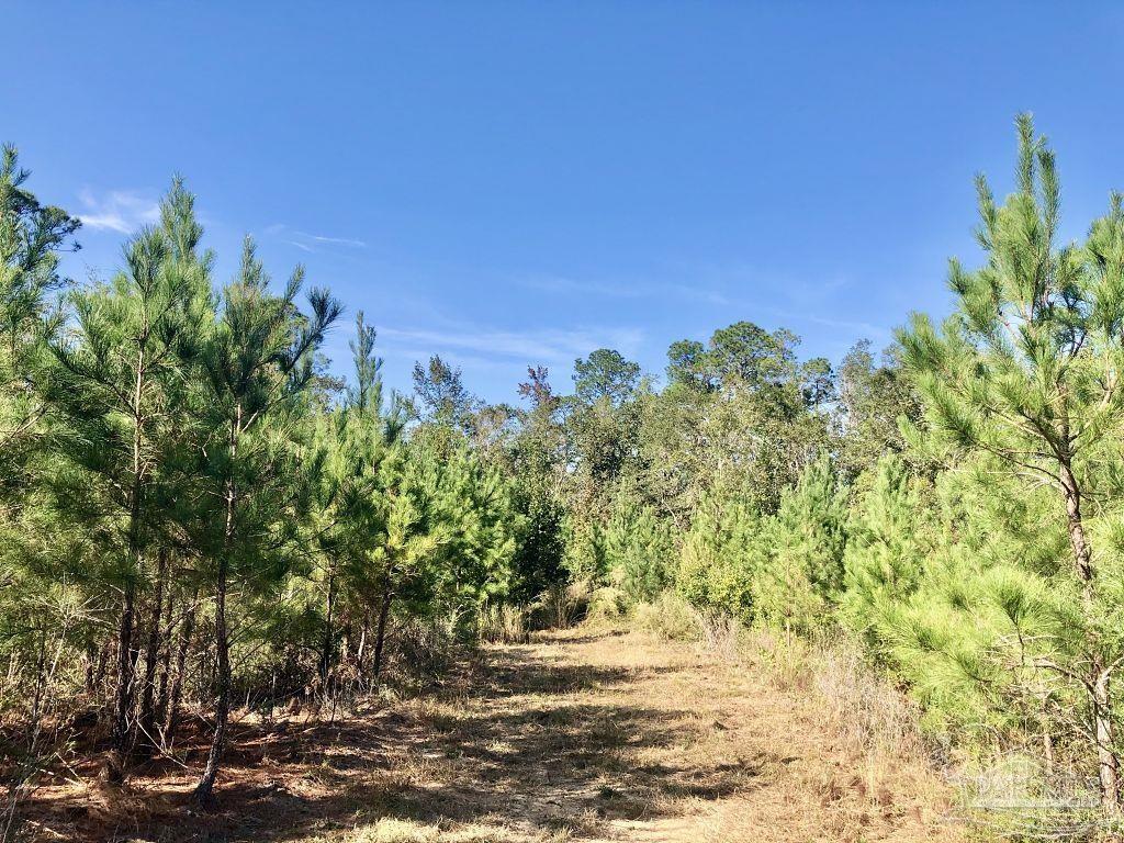 Lot 25-sw Bashi Road Pace, FL 32571 - Photo 26 of 26 Gallery Image 26
