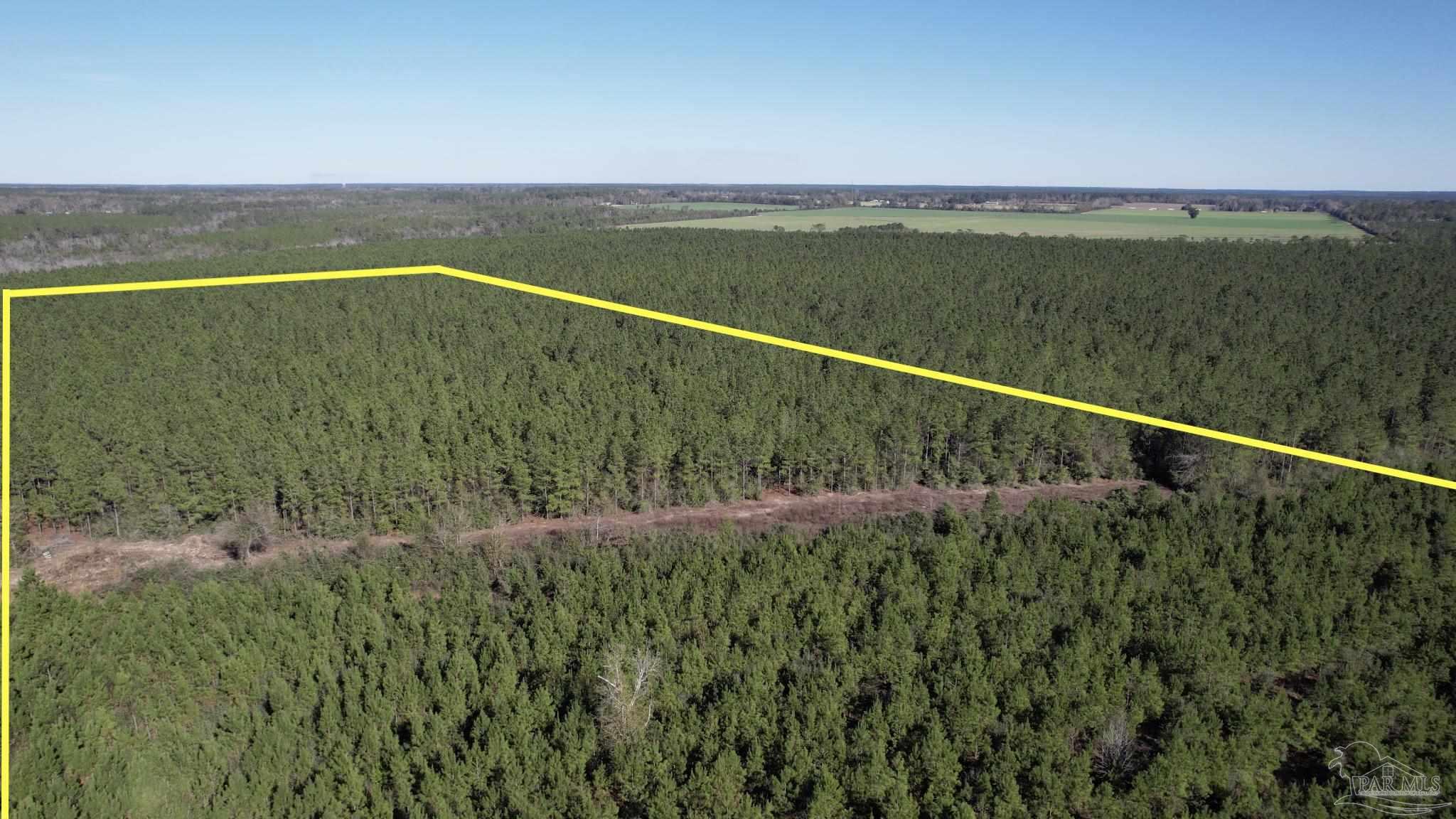 Lot 25-sw Bashi Road Pace, FL 32571 - Photo 3 of 26 Gallery Image 3