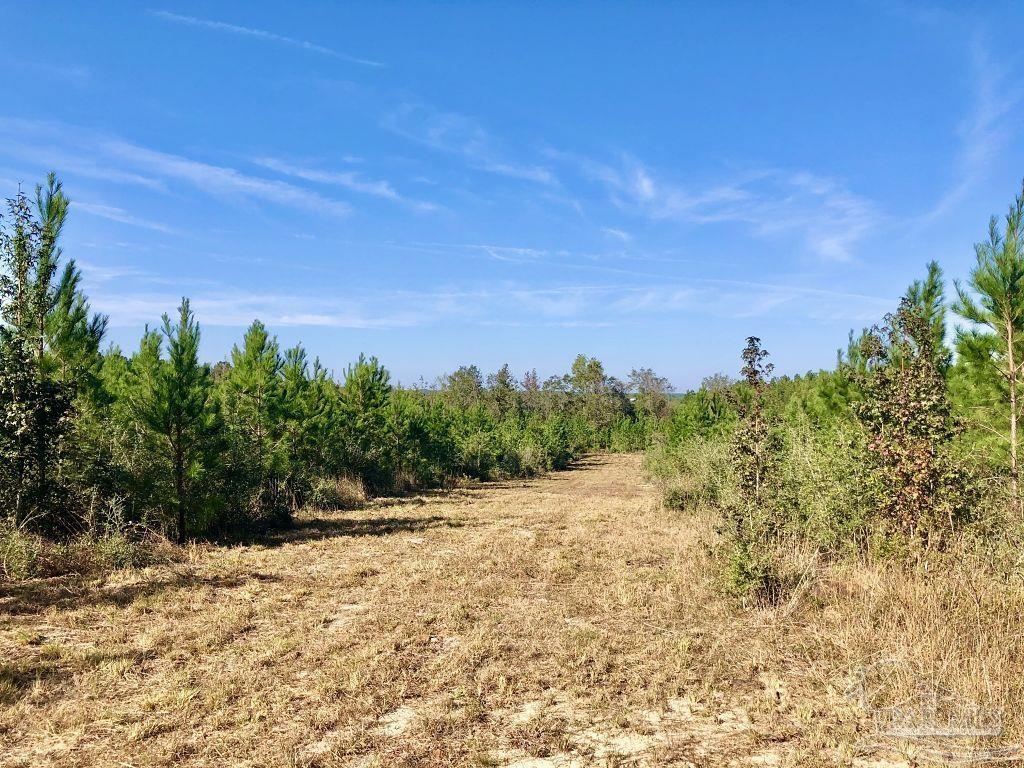 Lot 25-sw Bashi Road Pace, FL 32571 - Photo 10 of 26 Gallery Image 10