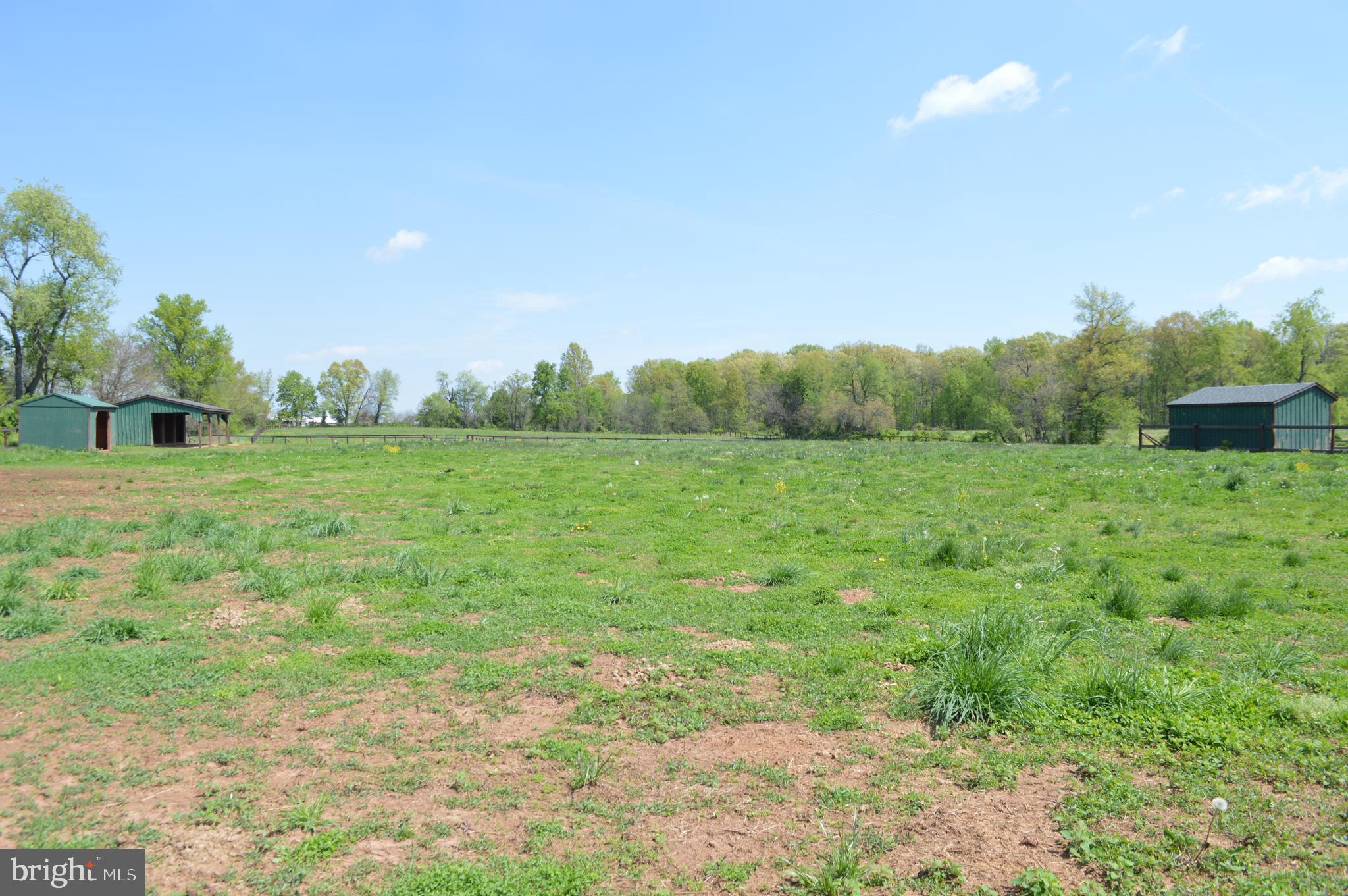 2051 Stover Road Taneytown, MD 21787 - Photo 5 of 44 a view of a grassy field with trees