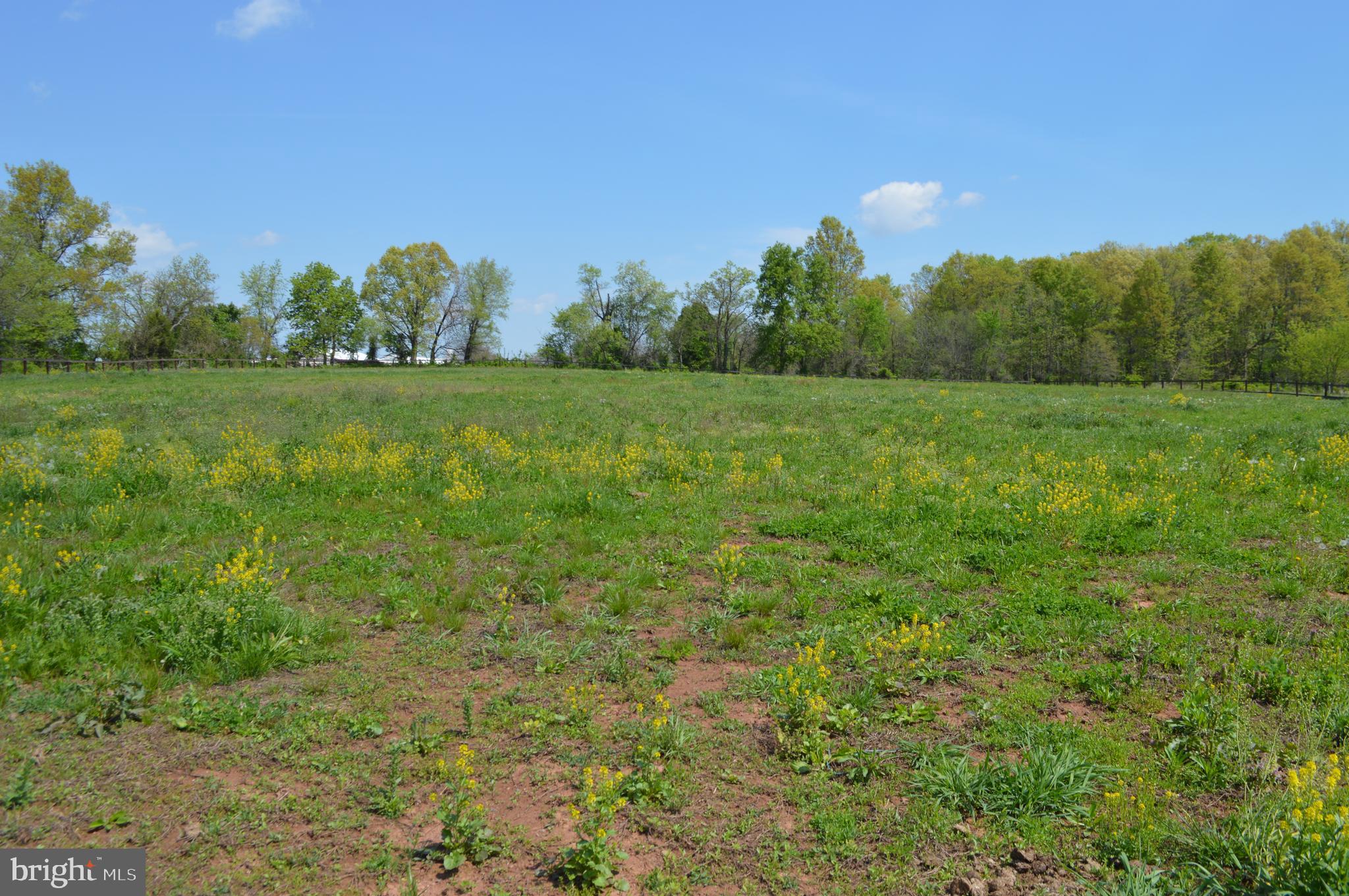 2051 Stover Road Taneytown, MD 21787 - Photo 9 of 44 a view of garden view