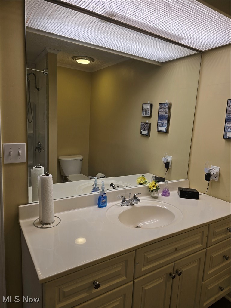 994 Som Center Road, Unit D2 Cleveland, OH 44143 - Photo 11 of 20 Bathroom with vanity, walk in shower, and toilet