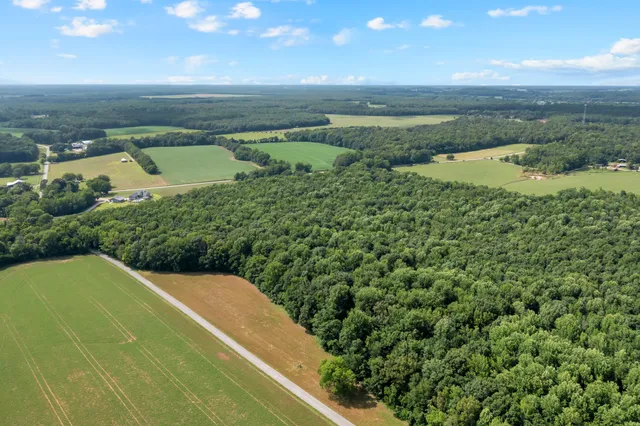 a view of a field with an ocean and trees in the background