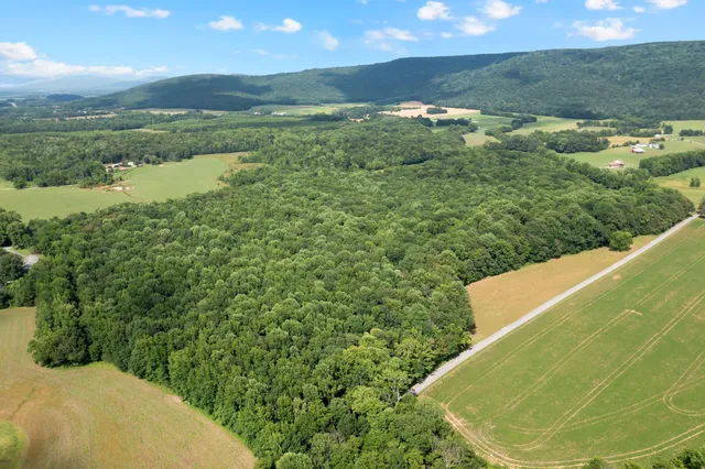 a view of a lake from a yard