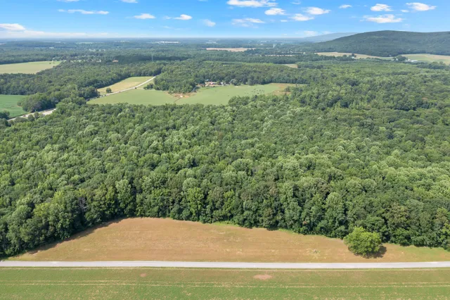 a view of a yard with an outdoor space