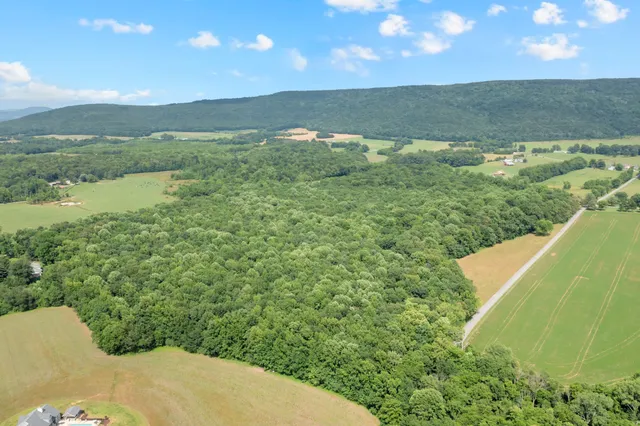 a view of a field with an ocean