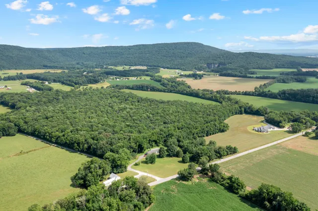 a view of a lake with a mountain
