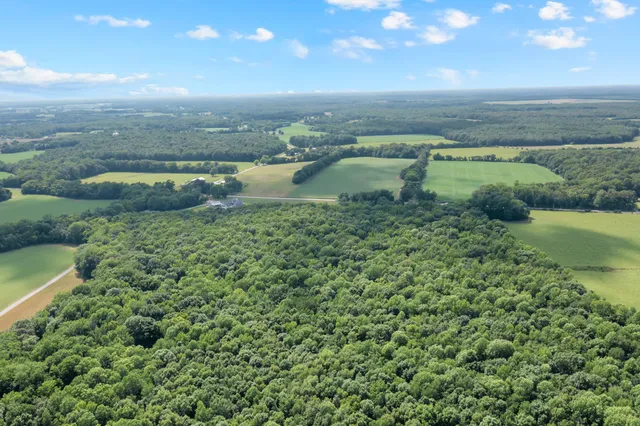 a view of a lake with a city