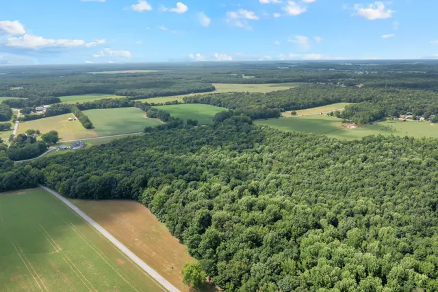 a view of a lake with a city