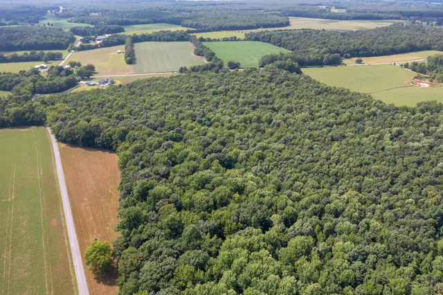 a view of a yard with a fountain