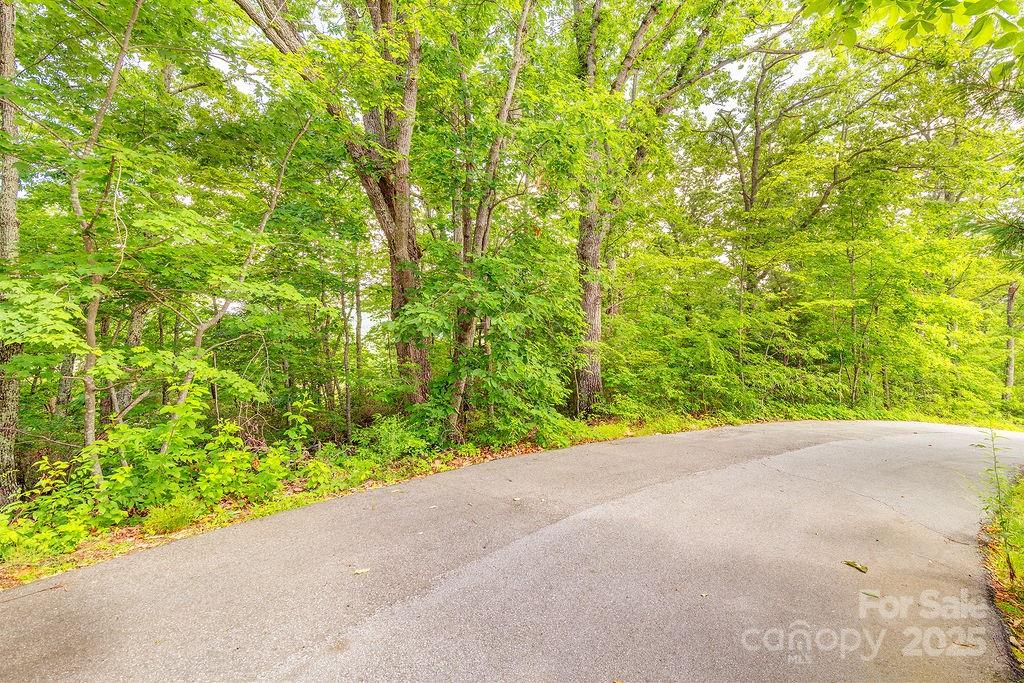 a view of a road with plants and large trees