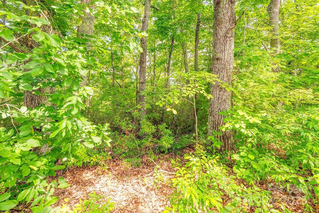 99999 Pheasant Ridge Road, Unit 14 Fairview, NC 28730 - Photo 4 of 8