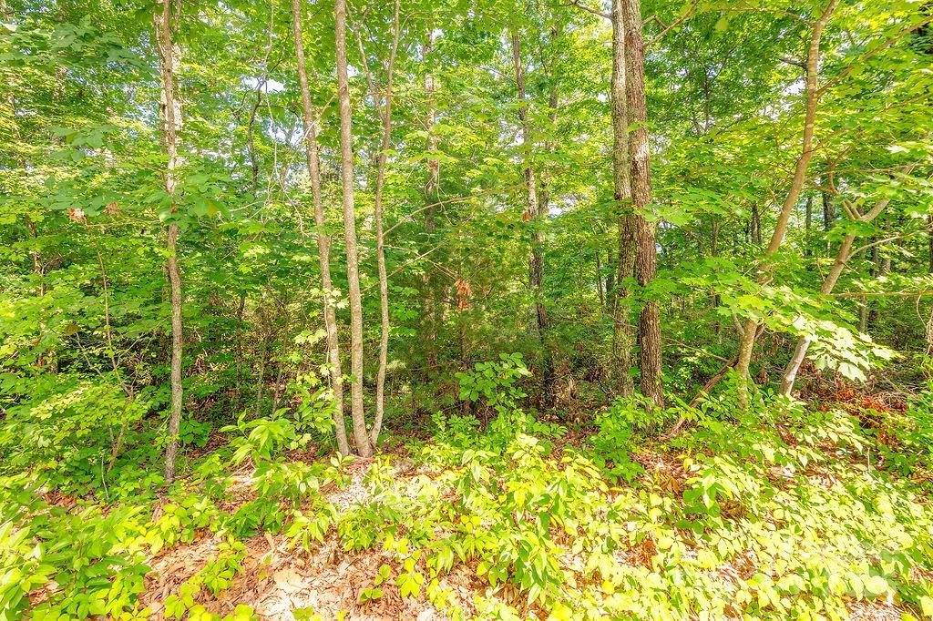 99999 Pheasant Ridge Road, Unit 14 Fairview, NC 28730 - Photo 5 of 8
