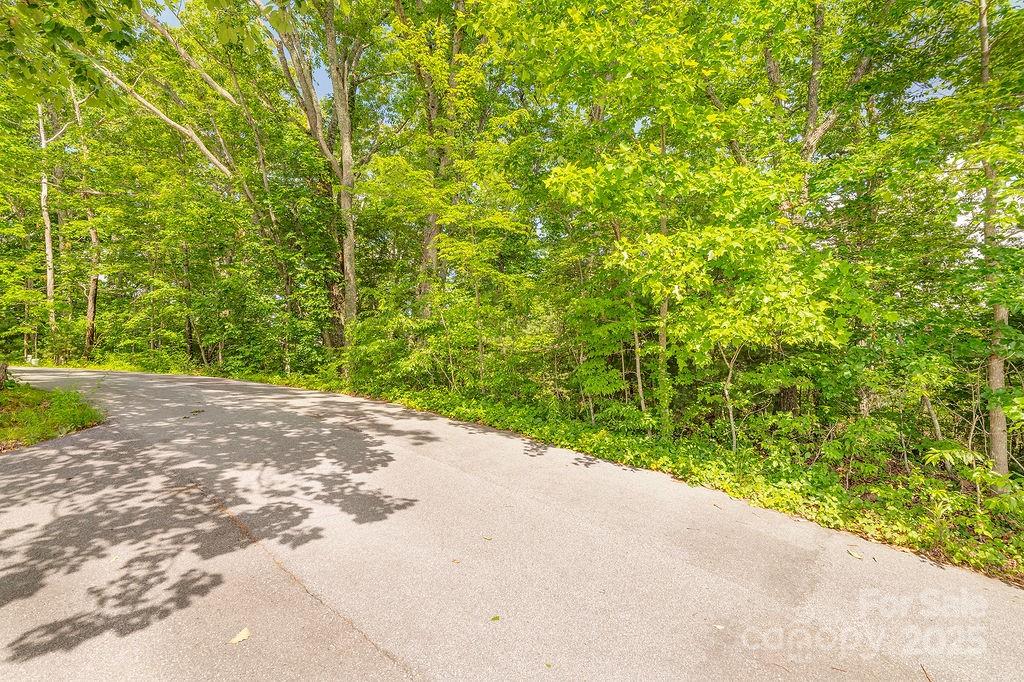 99999 Pheasant Ridge Road, Unit 14 Fairview, NC 28730 - Photo 6 of 8