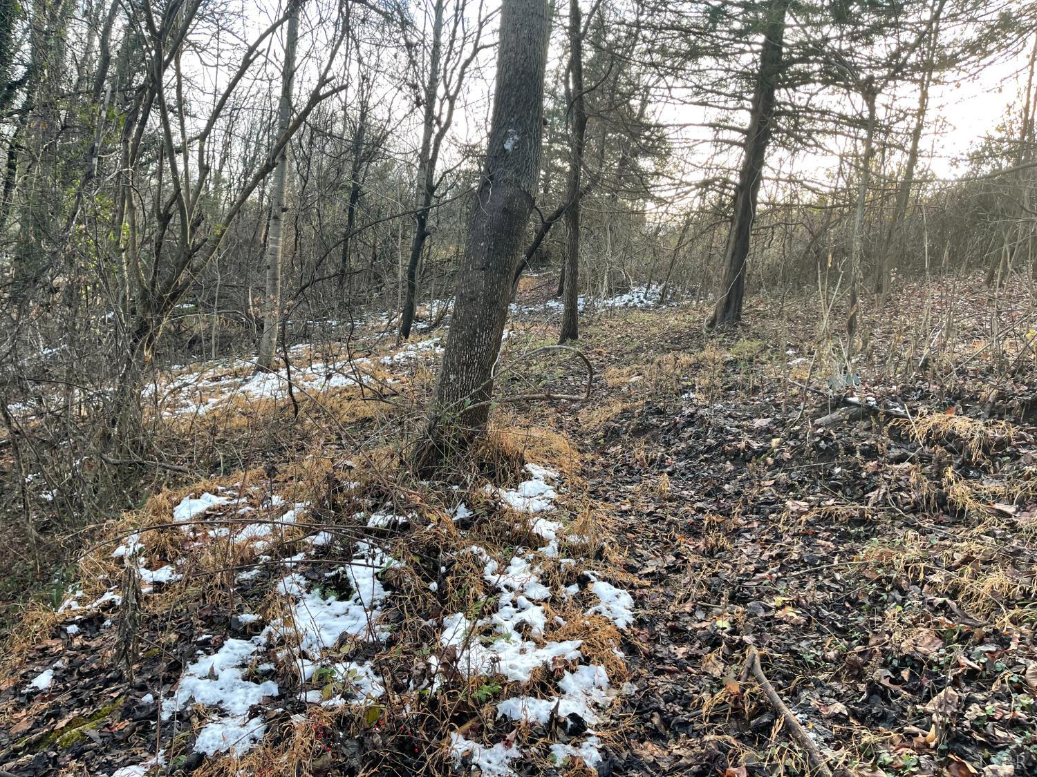 753 Burks Hill Road Bedford, VA 24523 - Photo 20 of 25 a view of a forest with trees