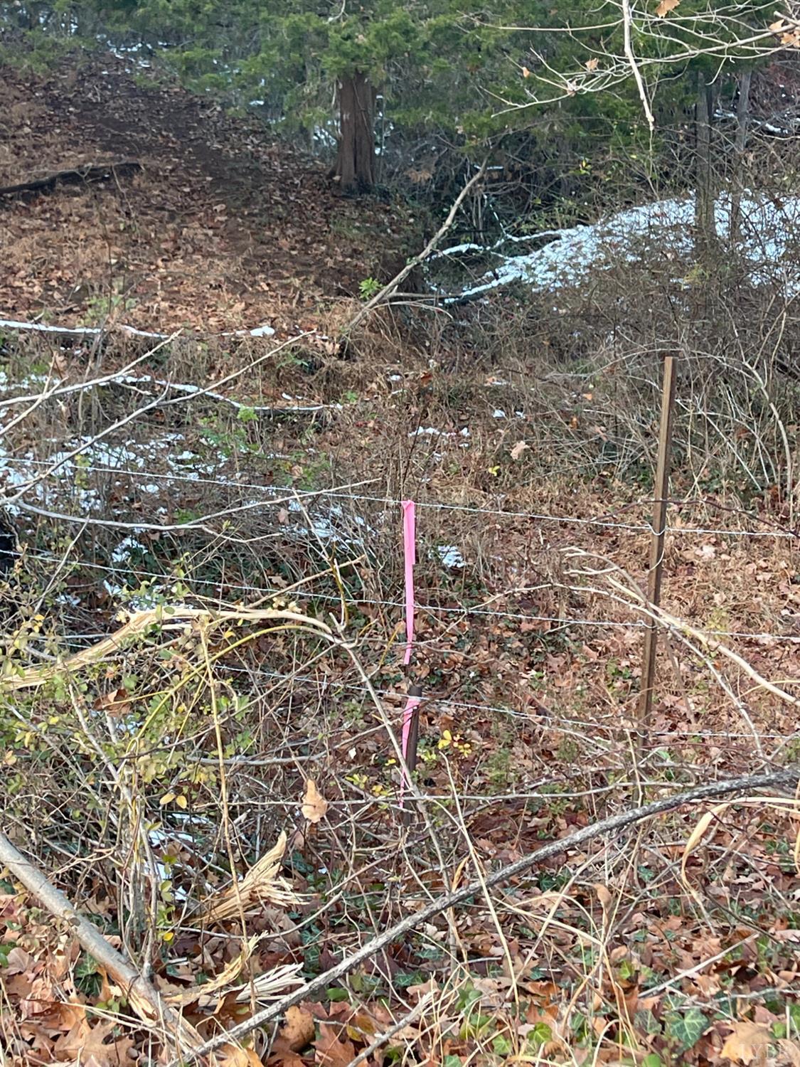 753 Burks Hill Road Bedford, VA 24523 - Photo 25 of 25 a close up of a shower in a yard