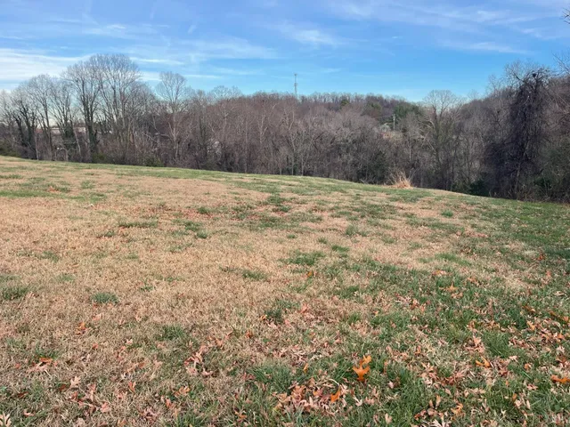 a view of a backyard of the house