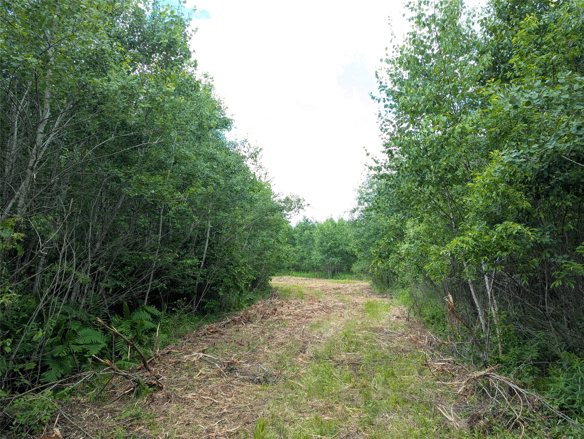 N4180 Wilderness Road Glen Flora, WI 54526 - Photo 8 of 29
