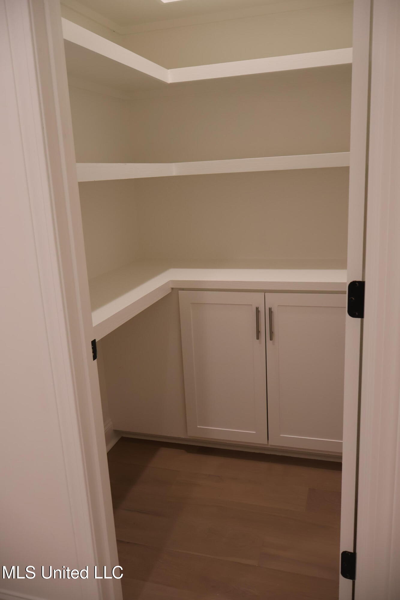 339 Willow Way Canton, MS 39046 - Photo 9 of 17 Pantry