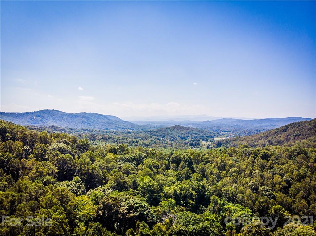 9999 Smith Knolls Road Fairview, NC 28730 - Photo 1 of 18 Gallery Image 1