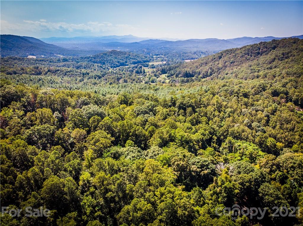 9999 Smith Knolls Road Fairview, NC 28730 - Photo 12 of 18 Gallery Image 12