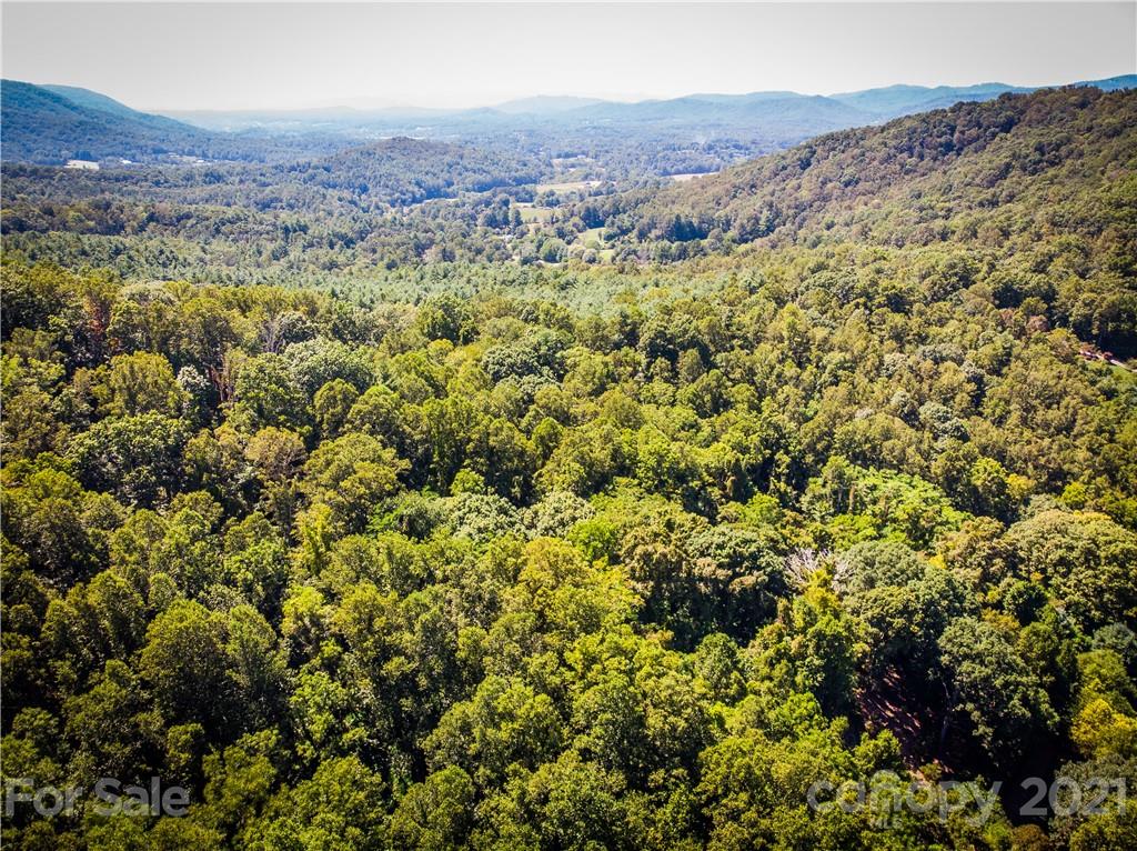 9999 Smith Knolls Road Fairview, NC 28730 - Photo 15 of 18 Gallery Image 15