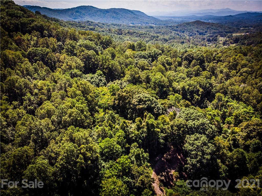 9999 Smith Knolls Road Fairview, NC 28730 - Photo 3 of 18 Gallery Image 3