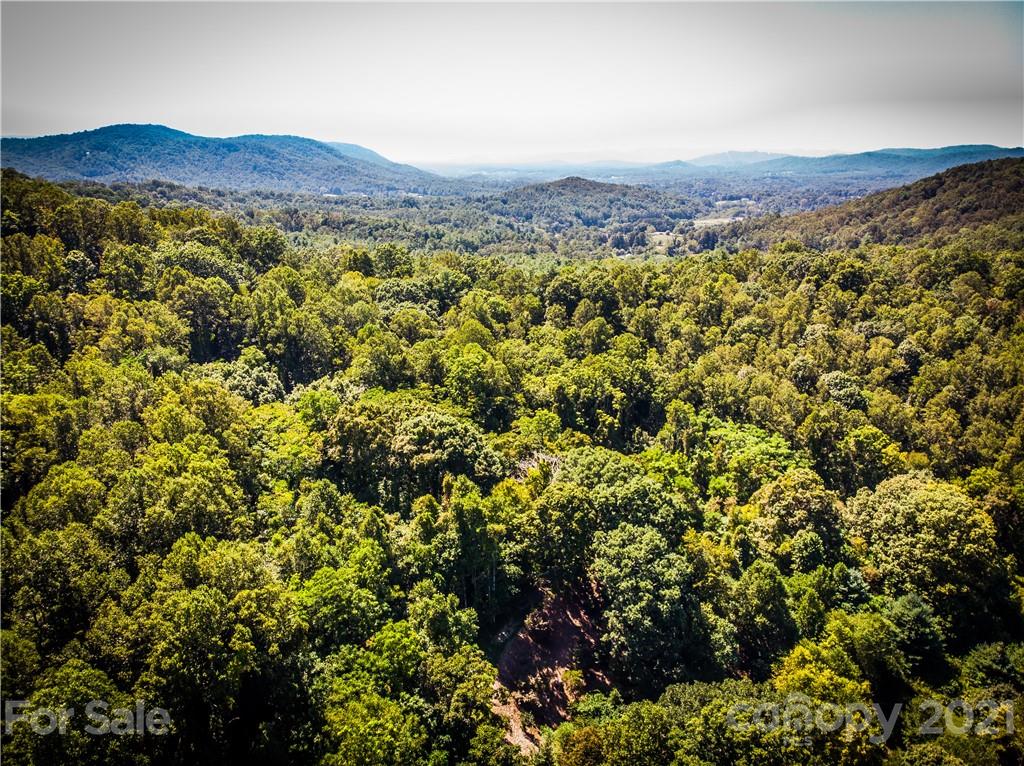 9999 Smith Knolls Road Fairview, NC 28730 - Photo 5 of 18 Gallery Image 5