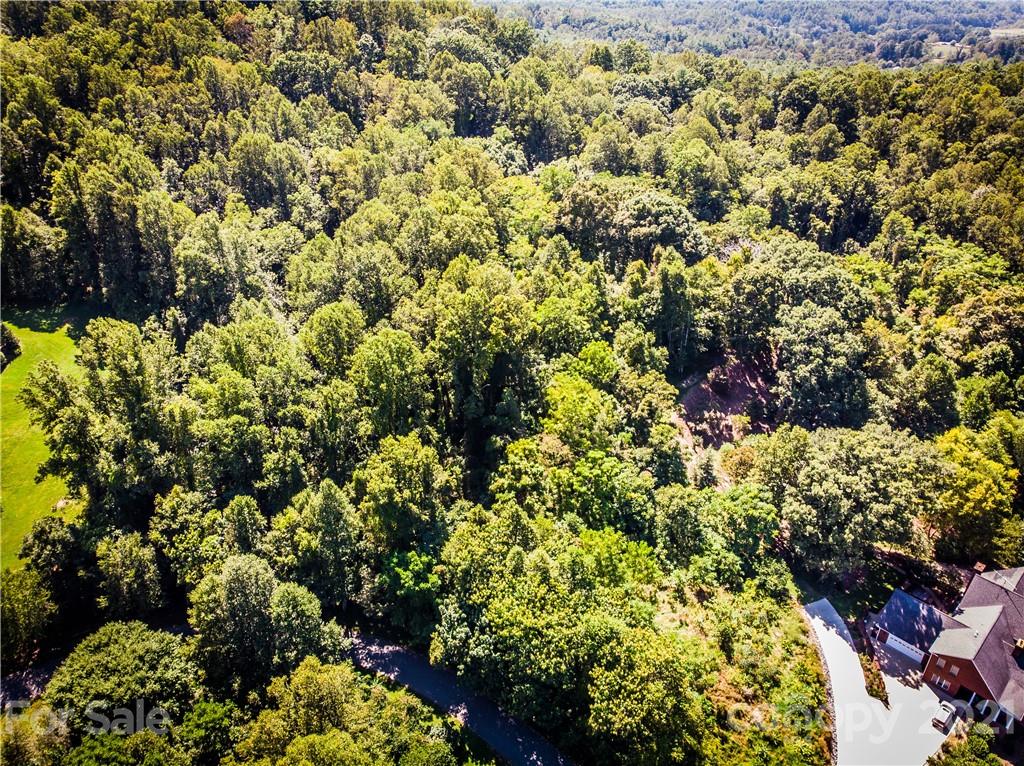9999 Smith Knolls Road Fairview, NC 28730 - Photo 6 of 18 Gallery Image 6