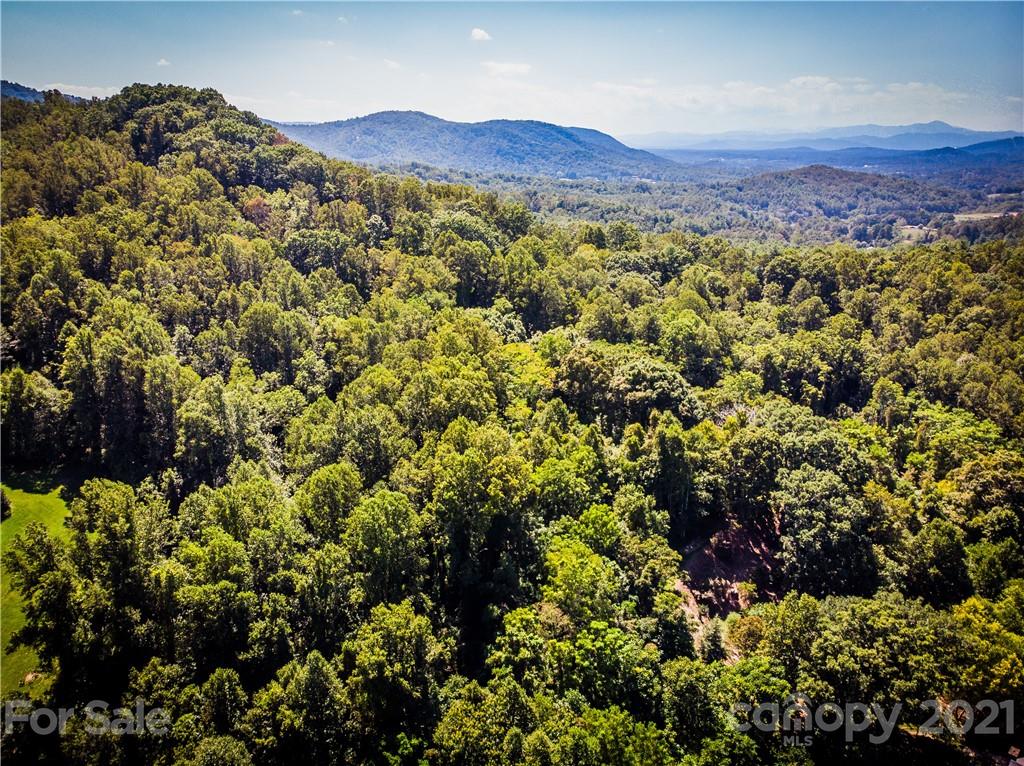 9999 Smith Knolls Road Fairview, NC 28730 - Photo 7 of 18 Gallery Image 7