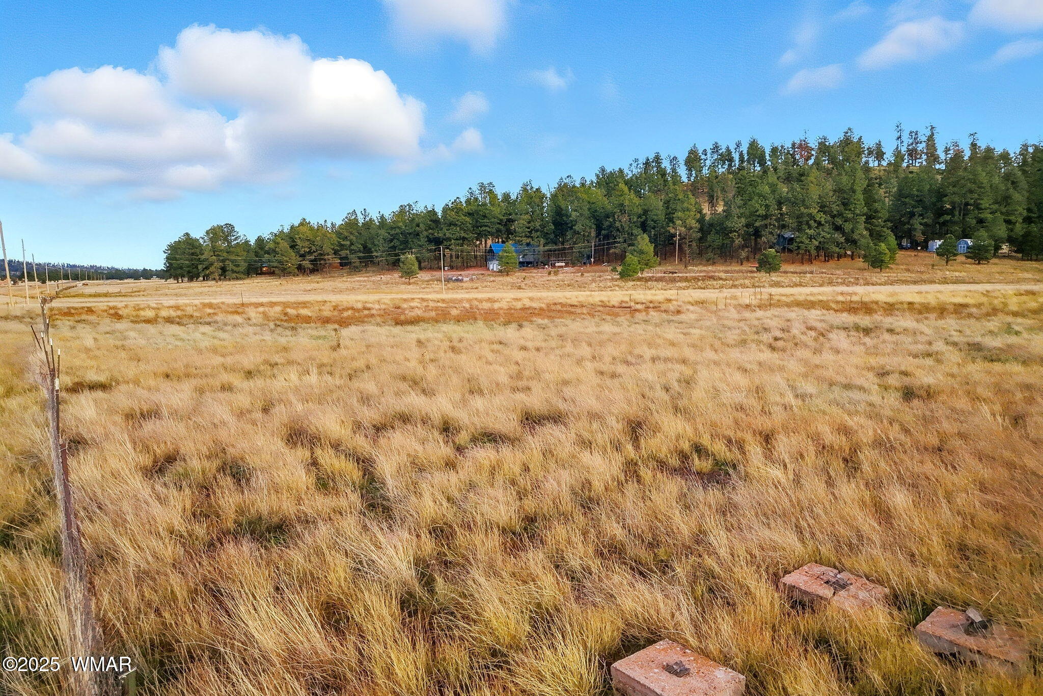 440 2104 Alpine, AZ 85920 - Photo 10 of 12 a view of a field with trees in the background