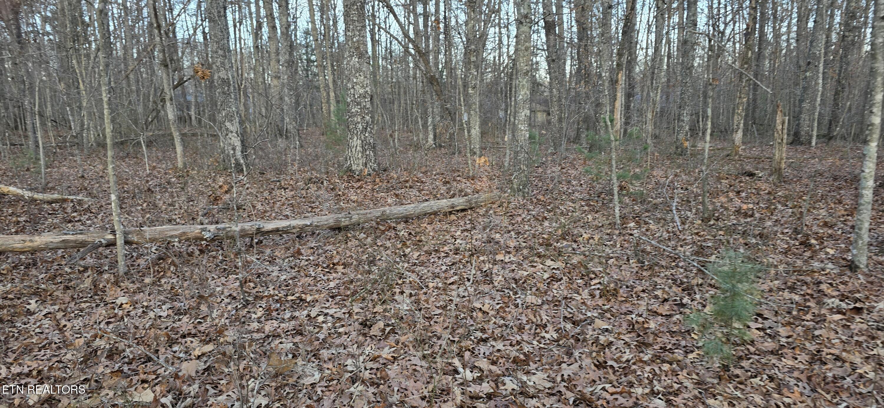 Crestview Loop Crossville, TN 38571 - Photo 1 of 8 CRESTVIEW LOOP