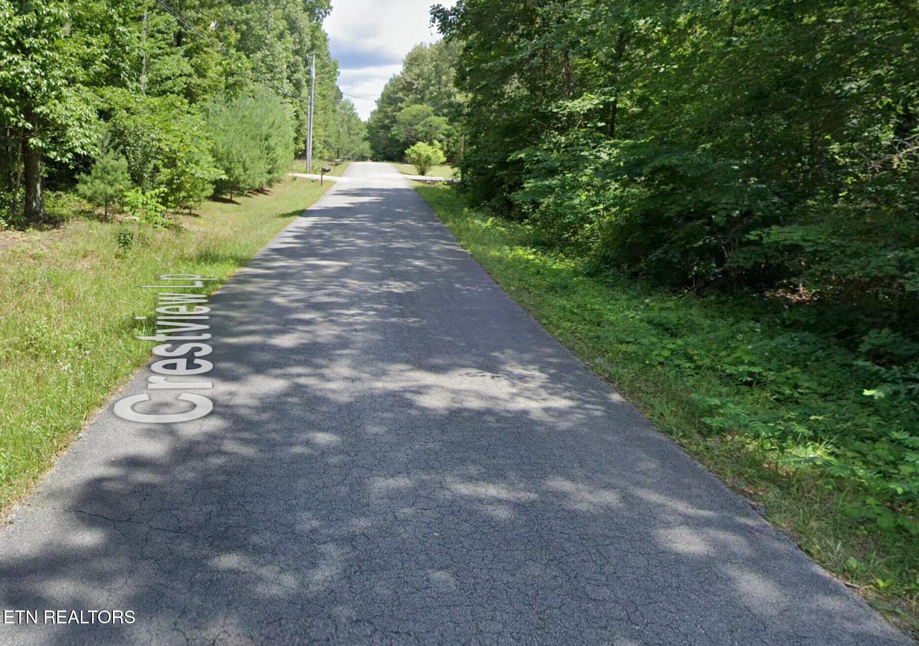 Crestview Loop Crossville, TN 38571 - Photo 5 of 8 ROAD VIEW