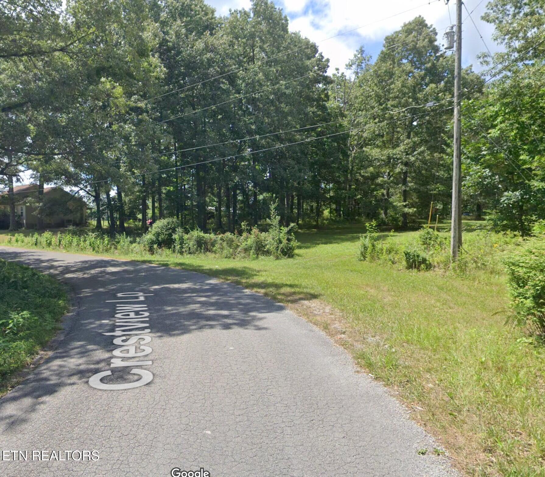 Crestview Loop Crossville, TN 38571 - Photo 6 of 8 ROAD VIEW