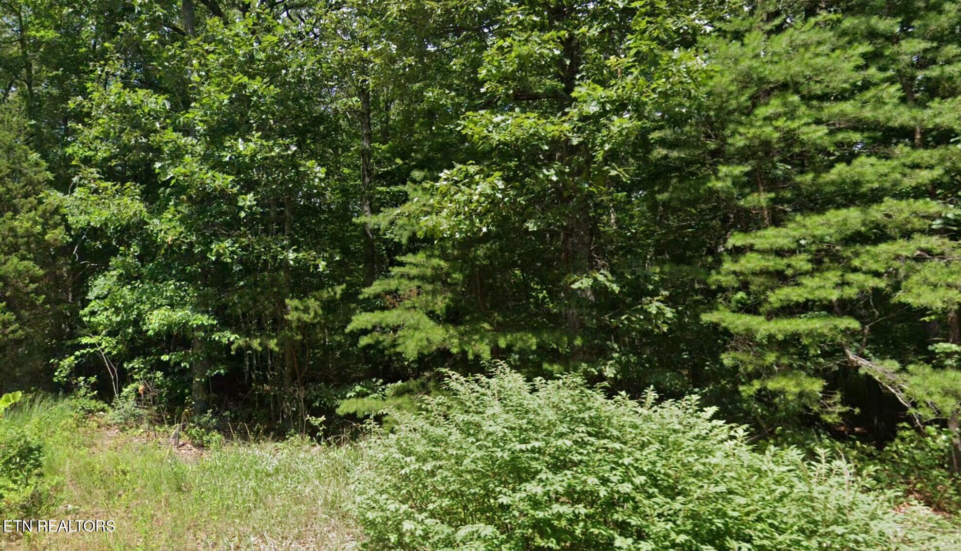 Crestview Loop Crossville, TN 38571 - Photo 7 of 8 VIEW FROM ROAD