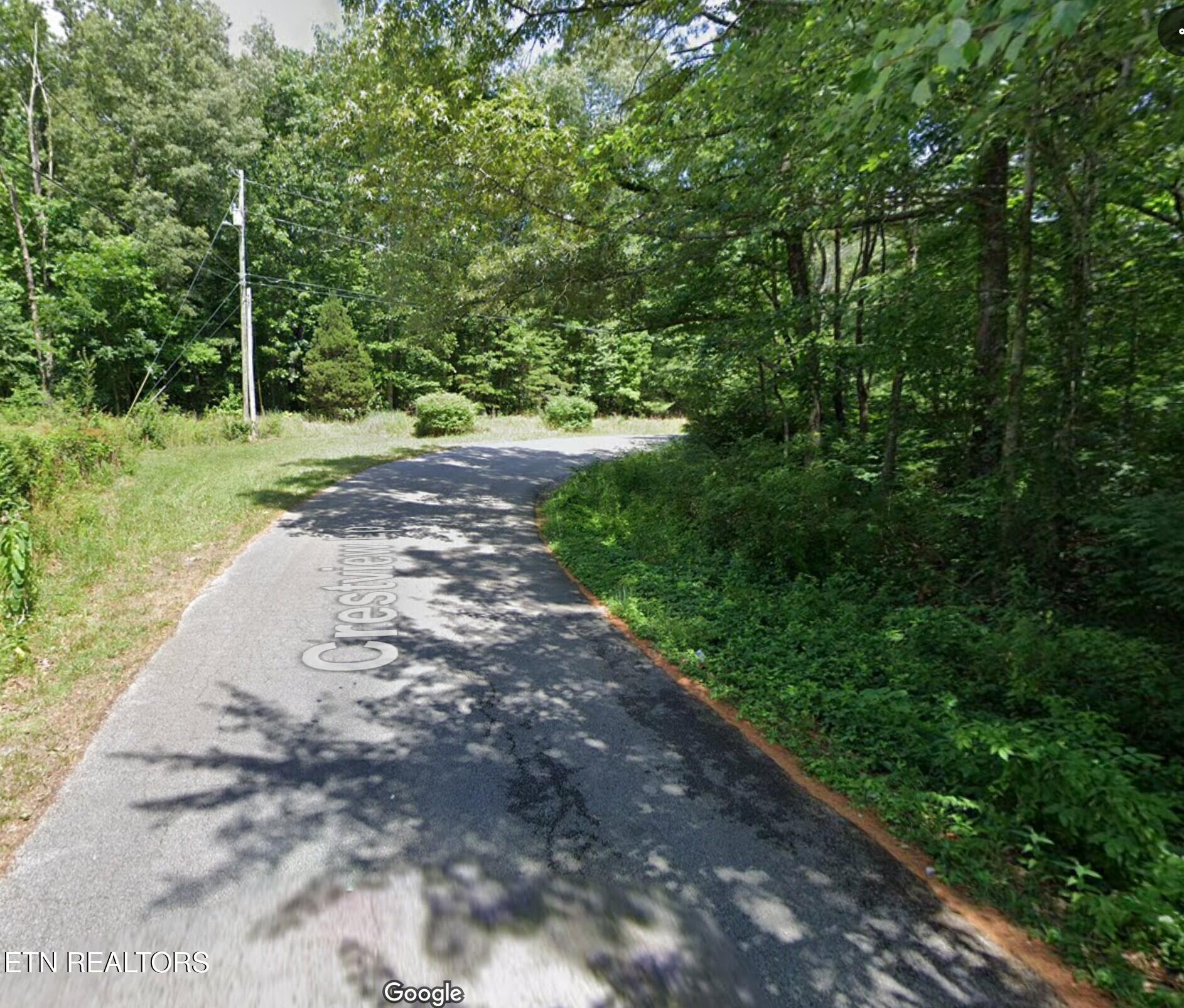 Crestview Loop Crossville, TN 38571 - Photo 8 of 8 VIEW FROM ROAD