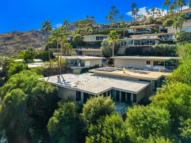 a view of a street with potted plants and large trees
