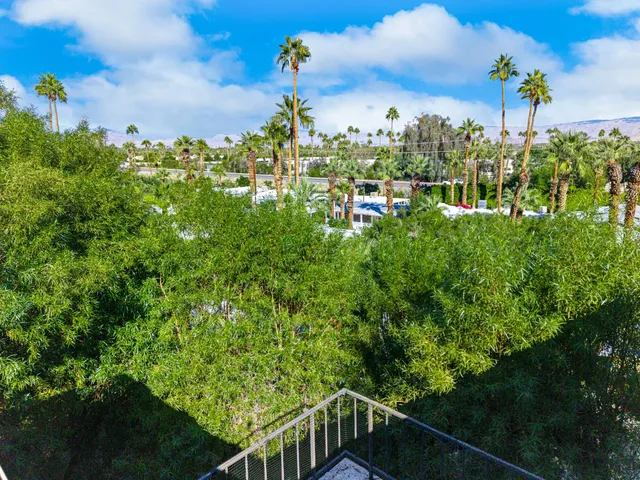 a picture of flowers