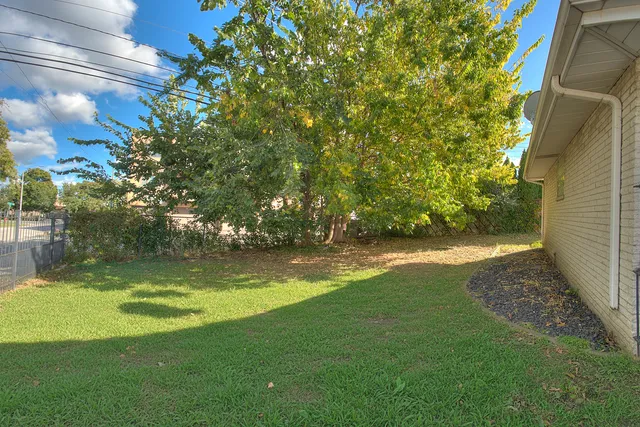 a view of yard with green space